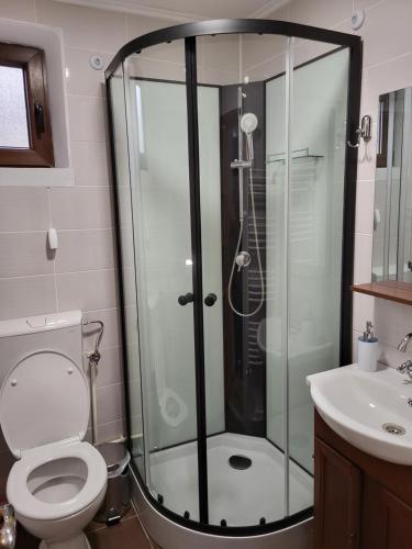 a bathroom with a shower and a toilet and a sink at Casa Mi&Ra in Lepşa