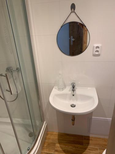 Ένα μπάνιο στο Apartmány Bolevec Plzeň pro rodiny s dětmi a zvířátky