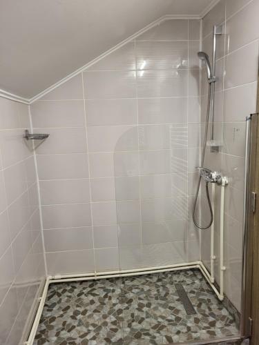 La salle de bains est pourvue d'une douche et de carrelage. dans l'établissement Casa Mi&Ra, à Lepşa