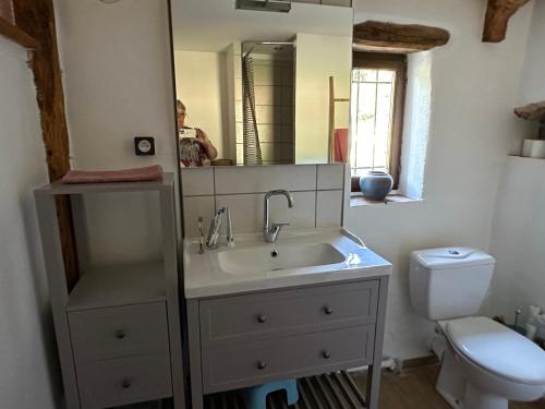 une salle de bain avec un lavabo, des toilettes et un miroir dans l'établissement Le Mas de Lou Papé, à Carsan