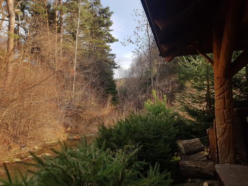 a view of a garden from the porch of a cabin at Domki Oaza Spokoju Berezka in Berezka