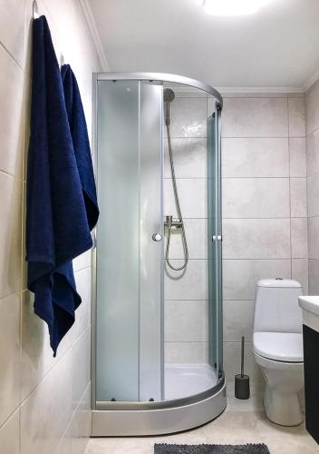 a bathroom with a shower with a toilet and blue towels at Центр посуточно Новая двухуровневая квартира da Luisa in Mukacheve