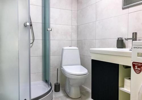 a bathroom with a toilet and a sink and a shower at Центр посуточно Новая двухуровневая квартира da Luisa in Mukacheve