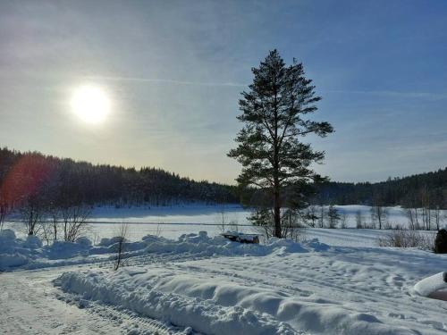 a field covered in snow with a tree in the background at Huset Alcamaro in Haugland