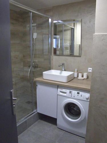une salle de bain avec une machine à laver et un lavabo dans l'établissement Appartement Terre et Mer, à Hyères