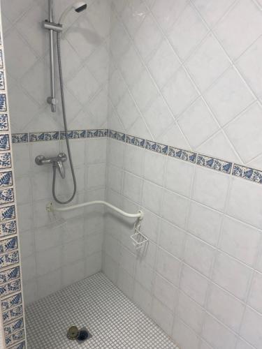 a bathroom with a shower with a tile floor at Chambres et Gîtes Les Deux Chênes près de Bergerac in Le Fleix