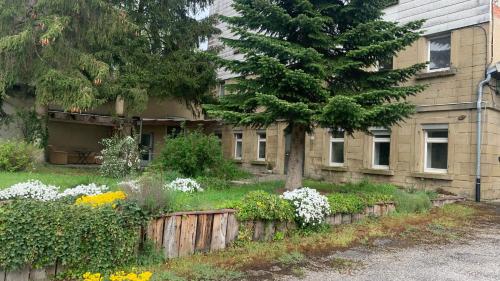 uma casa com um jardim de flores em frente em FeWo&MoWo Zur Mühle Reinhard 