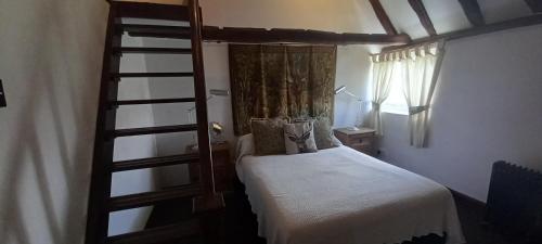 a bedroom with a bunk bed and a ladder at Plumpton Barn in Ashford