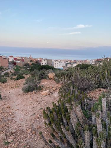 a view of a city from a hill with cactus at Kasbari House in Taghazout