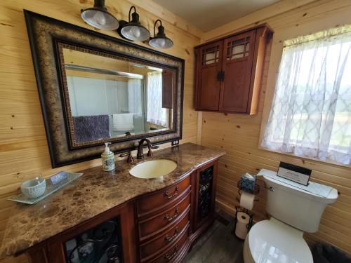 een badkamer met een wastafel, een spiegel en een toilet bij Kentucky Hills Country Cottage in Morgantown