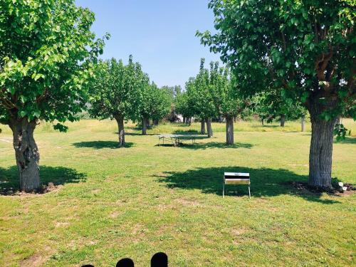 Φωτογραφία από το άλμπουμ του ACHILLEAS PEACEFUL PLACE σε Skála Sikiás