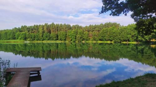 a bench sitting next to a lake with trees at Apartament Baranek Nad Jeziorem in Gostycyn