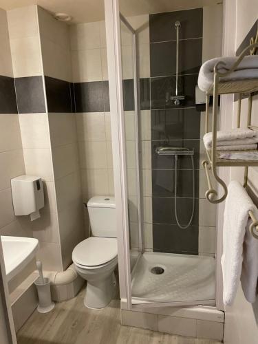 łazienka z toaletą i prysznicem w obiekcie Le Coq d'Or w mieście Brive-la-Gaillarde