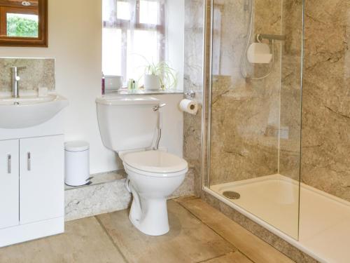 a bathroom with a toilet and a shower and a sink at The Workshop in Newton on the Moor