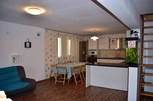 ナボダリにあるKangen Center Dobrogea Houseのテーブルと椅子のあるキッチンとダイニングルーム
