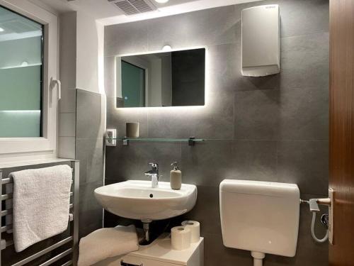 a bathroom with a sink and a toilet and a mirror at 1-Zimmerapartment mit Burgblick in Bad Liebenzell