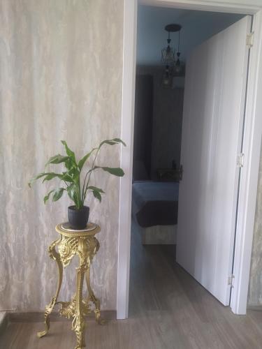 Fotografie z fotogalerie ubytování Guest House Mtisubani v destinaci Signagi
