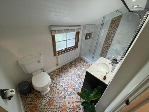 a bathroom with a toilet and a shower and a sink at The Railway Cottage Bridgnorth in Bridgnorth