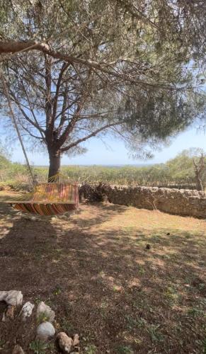 a swing hanging from a tree in a field at Borgo alto - Ideal holiday for families & friends in Noto