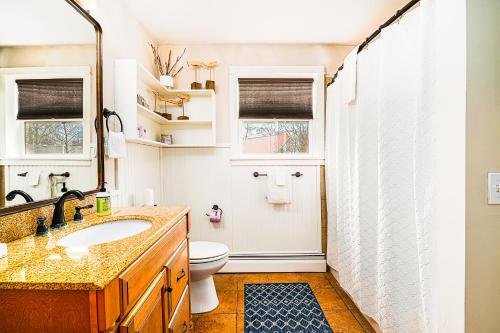 ein Bad mit einem Waschbecken, einem WC und einer Dusche in der Unterkunft East Bay View Annex in Petoskey