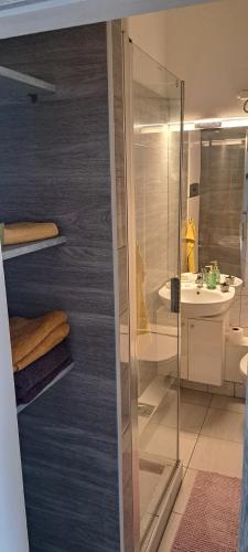 Napraforgó apartman في سيجد: حمام مع دش ومرحاض ومغسلة