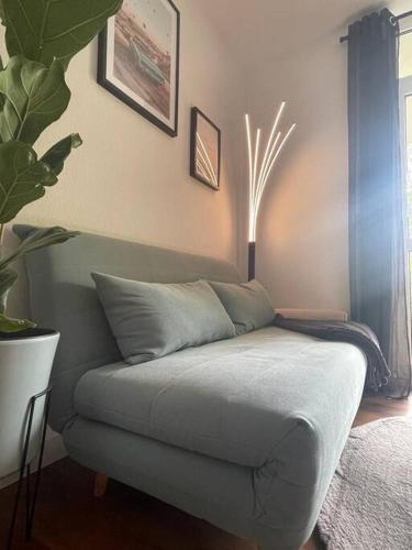 a couch sitting in a living room with a plant at Modernes Apartment in Chemnitz in Chemnitz