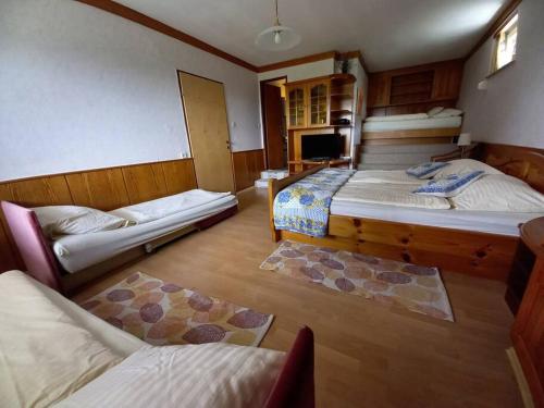 a room with two beds and a couch in it at Haus Sonnenhang +Seeblick+Pool in Reifnitz