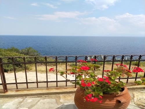 Gallery image of Zennova #3 Mount Athos & Sea View in Pyrgadikia