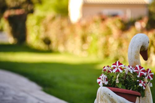 a planter with red and white flowers in it at Villa Agathi in Roda
