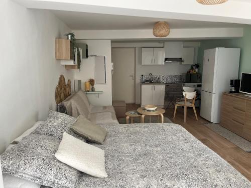salon z kanapą i kuchnią w obiekcie Studio Hyères -Rue piétonne Climatisation lit 160 tout équipé - Sabrina w Hyères