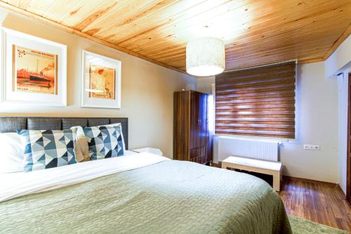 1 dormitorio con cama y techo de madera en Historical Duplex Villa with Patio in Beyoglu, en Estambul