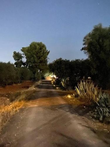 a dirt road with trees on the side of it at Villa Kalorama-private pool & Hot Tub in San Vito dei Normanni