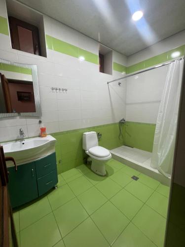 La salle de bains verte est pourvue de toilettes et d'un lavabo. dans l'établissement Holiday home Golovino, à Dilidjan