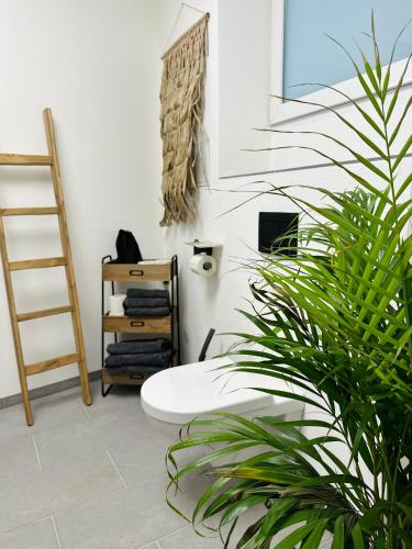 a bathroom with a white toilet and a plant at Heimat - Ein Stück Heimat im Alltag in Bad Dürkheim