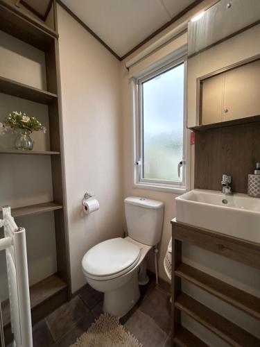 Ένα μπάνιο στο Delightful 2 bedroom Caravan, Pencnwc, New Quay