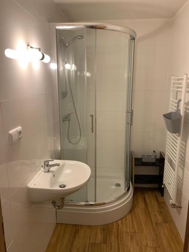 a bathroom with a shower and a sink at Apartmány Bolevec Plzeň pro rodiny s dětmi a zvířátky in Plzeň