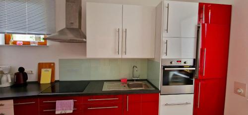 Η κουζίνα ή μικρή κουζίνα στο Privatwohnung Rybczynski