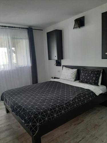 Gallery image of La Piticu in Dubova