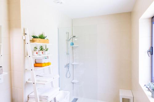 a white bathroom with a shower and a ladder at Boavista Country Houses no 93 in Vila Nune