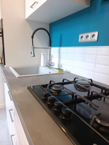 - une cuisine équipée de plaques de cuisson et d'un évier dans l'établissement Escapade blésoise, à Blois