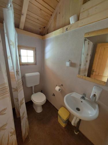 a bathroom with a white toilet and a sink at Rafting Camp Konak in Foča