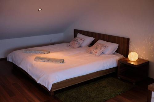 Un dormitorio con una cama con dos libros. en Vikend hiša Vrhe, en Senovo