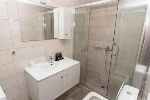a bathroom with a shower and a sink and a toilet at Fully equipped flat in Piraeus (Erm_C7) in Piraeus