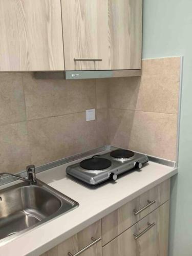 a kitchen counter with a stove and a sink at N G Luxury Apartments at Nea Kallikrateia No 2 in Nea Kalikratia