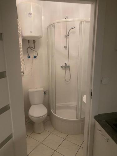 a bathroom with a shower and a toilet and a sink at Fałata apartament in Kobyłka
