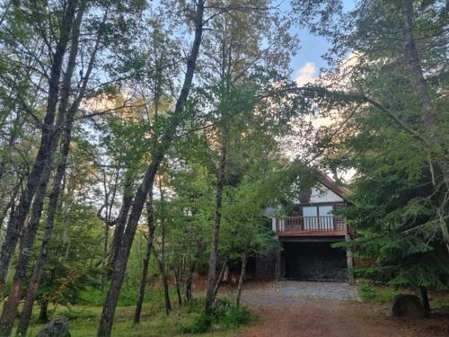 a house with a deck in the middle of trees at Casa Ayllantú in Las Trancas