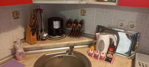 a kitchen counter with a sink and a counter top with a mixer at Guest House Enis in Dubrave Gornje