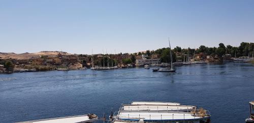 a group of boats docked in a river at La Terrace in Aswan