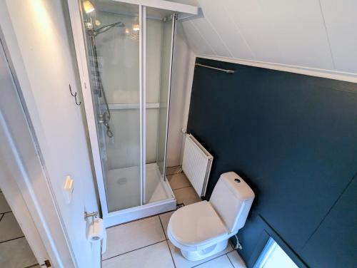 a small bathroom with a toilet and a shower at Central Apartments in Vestmannaeyjar