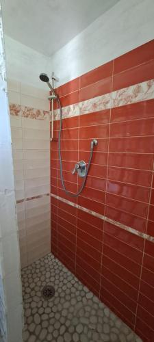 a bathroom with a shower with red tiles at Casa di Company in Greve in Chianti